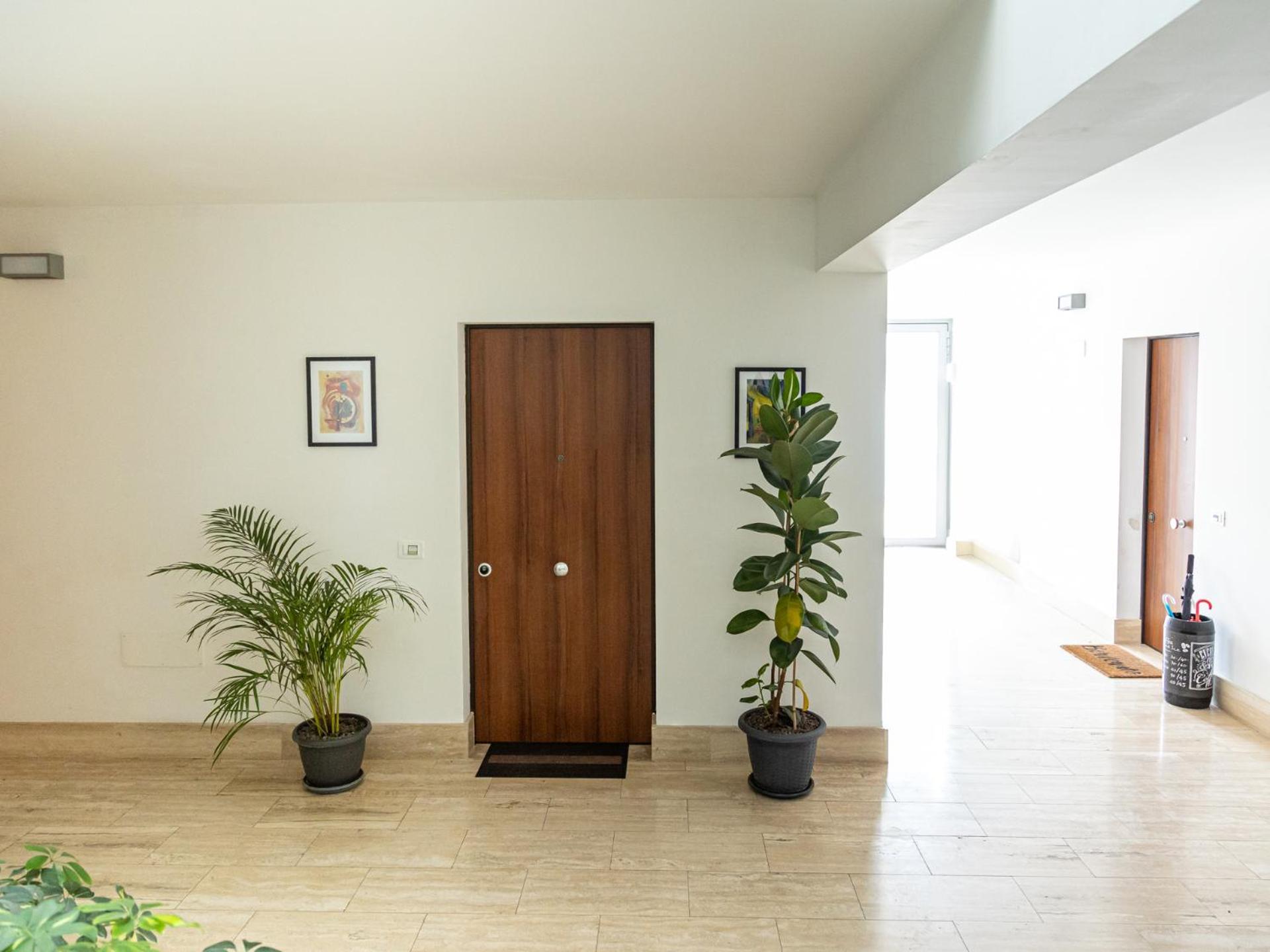 Mrb Real Estate - Maison Ludovica - Monolocale Moderno Con Giardino Frattocchie Dış mekan fotoğraf