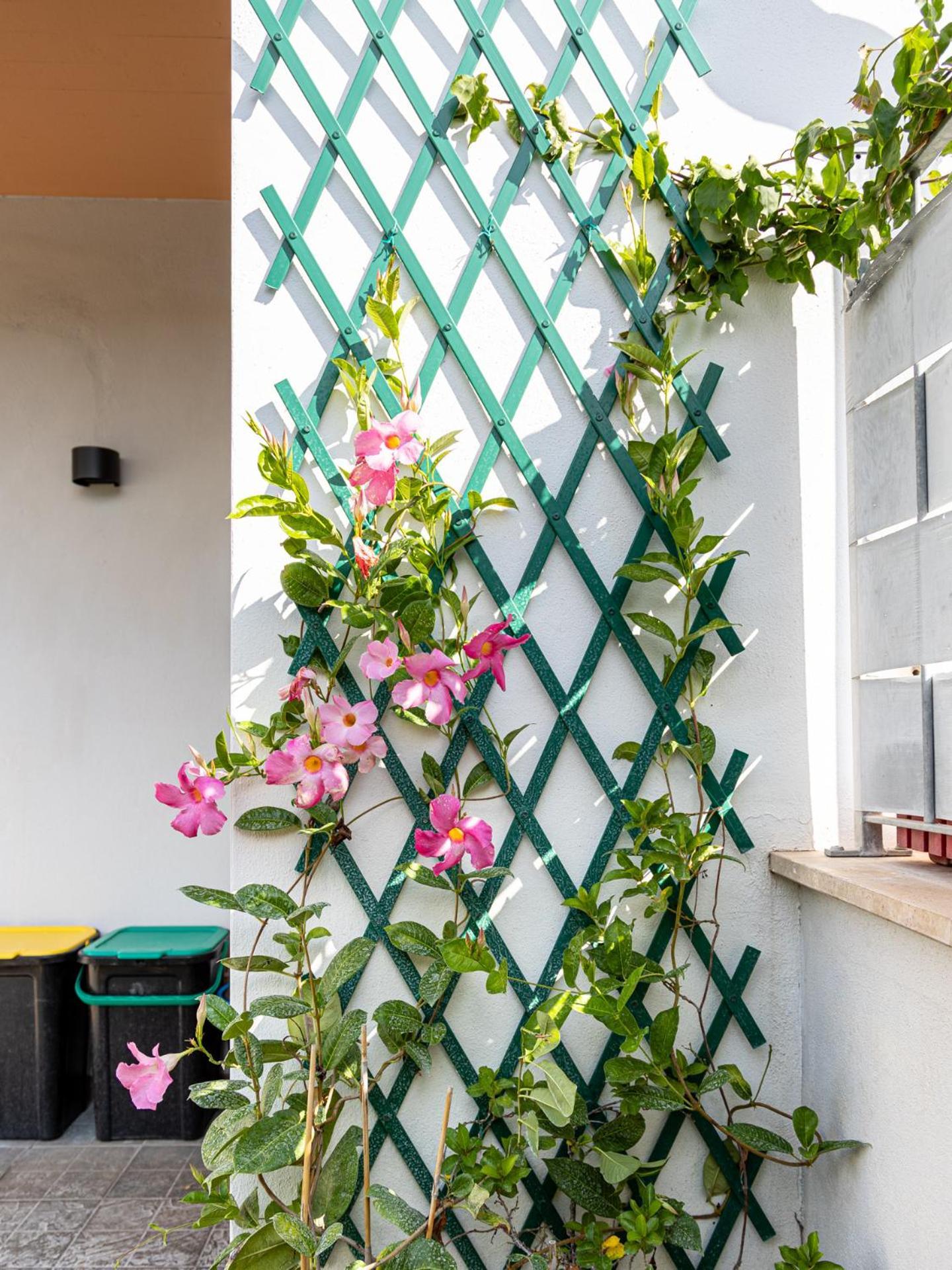 Mrb Real Estate - Maison Ludovica - Monolocale Moderno Con Giardino Frattocchie Dış mekan fotoğraf